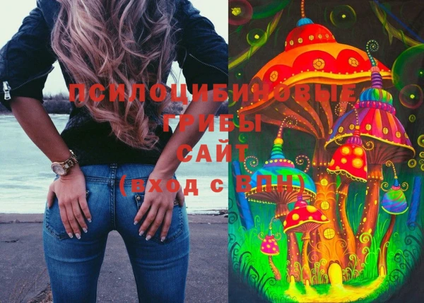 бошки Дмитров