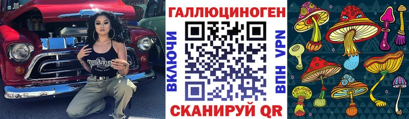 Купить Грязовец Псилоцибиновые грибы Magic Shrooms